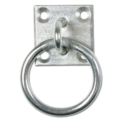 Abbildung von Waldhausen Ring met muurplaat