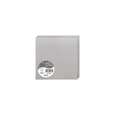 Abbildung von Clairefontaine 12889C Packung mit 25 Karten Pollen 13,5x13,5cm, 210g, ideal für Ihre Korrespondenz und Einladungen, Silber, 1 Pack
