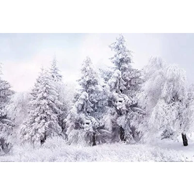 Abbildung von 1art1 Winter Poster Schneebedeckter Winterwald Plakat Bild 91x61 cm