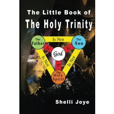 Abbildung von the Little Book of Holy Trinity: A New Approach to Christianity, Indian Philosophy, and Quantum Physics