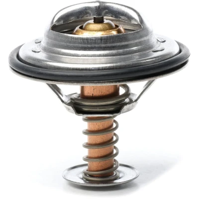 Abbildung von METZGER 4006137 Kühlwasserthermostat 79 mit Dichtung MERCEDES BENZ: W124 Limousine, S Klasse SL Cabrio