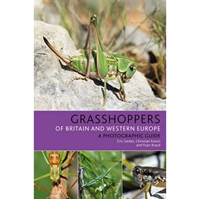 Abbildung von Grasshoppers of Britain and Western Europe: A Photographic Guide (Bloomsbury Naturalist)