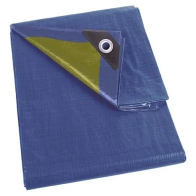 Abbildung von Plane blau/grün Standard 4 x 5 m Velleman