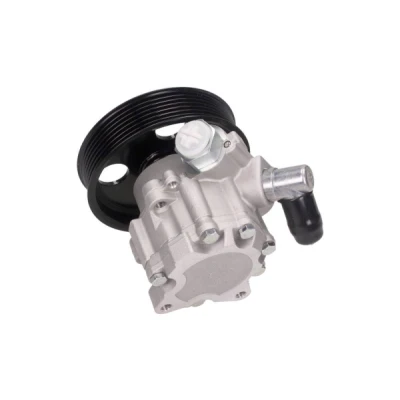 Abbildung von MAXGEAR 48 0116 Hydraulikpumpe hydraulisch 120 7 MERCEDES BENZ: Sprinter 3.5 T Kastenwagen, Vito Bus, Viano