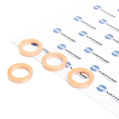 Abbildung von DR.MOTOR AUTOMOTIVE DRM0363S Dichtungssatz, Lader