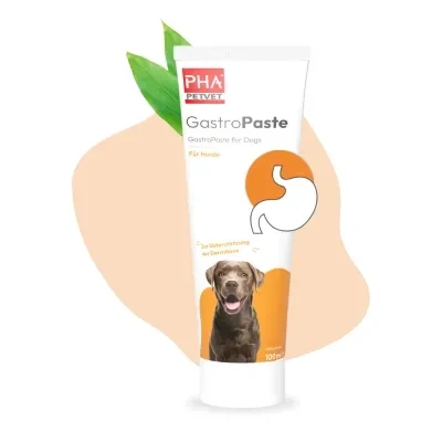 Abbildung von Pha Gastropaste Für Hunde 100 ml