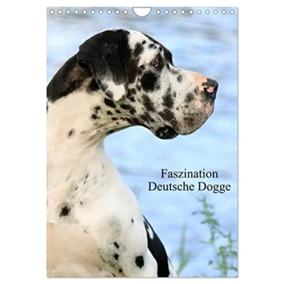 Abbildung von Faszination Deutsche Dogge (Wandkalender 2025 DIN A4 hoch), CALVENDO Monatskalender