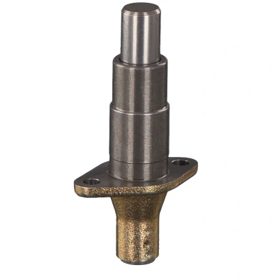 Abbildung von FEBI BILSTEIN 30548 Spanner, Steuerkette MERCEDES BENZ: A Klasse, B Klasse