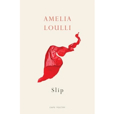 Abbildung von Slip: From the Winner of Northern Writers’ Award