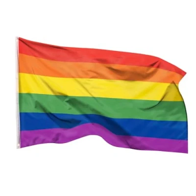 Abbildung von PHENO FLAGS Flagge Regenbogen 90 x 150 cm Rainbow Fahne CSD LGBT Pride (Hissflagge für Fahnenmast), Inkl. 2 Messing Ösen