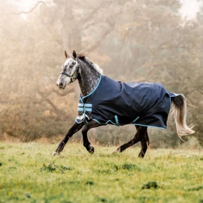 Abbildung von Amigo by Horseware Bravo 12 Turnout 100g Navy Türkis 165/221