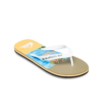 Abbildung von Quiksilver Molokai Stripe 25 Badezehentrenner, Herren, Größe: 45, Blq6 Kunststoff