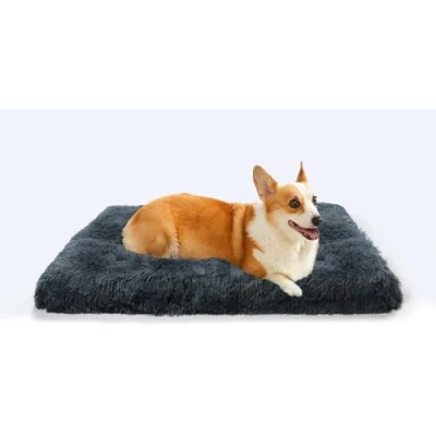 Abbildung von MDDK DY Hundebett, Mittel Hundekissen Waschbare, Flauschige Hundematte, Langer Plüsch, Weiche Polsterung, Multifunktional Hundekistenmatratze, Dunkelgrau,75x50x8cm