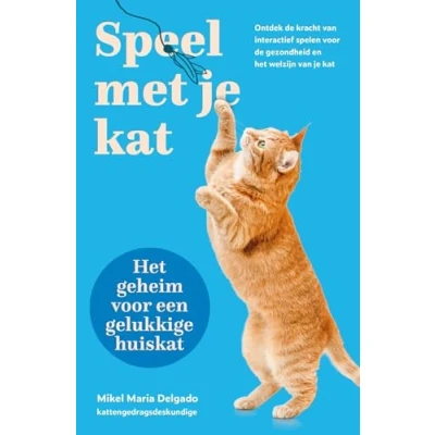 Abbildung von Speel met je kat: ontdek de kracht van interactief spelen voor gezondheid en het welzijn kat