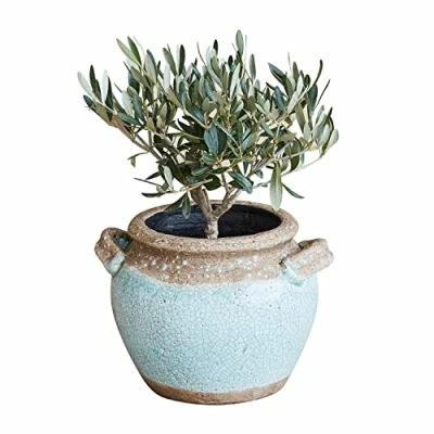 Abbildung von Loberon Übertopf Elisa, Handgetöpfert, Mediterrane Optik, Teillackiert, Versprüht Urlaubsflair, Gartenzubehör, Blumentopf, Pflanzgefäß, Terrakotta, blau