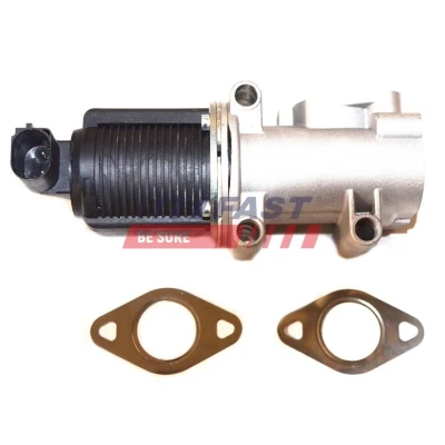 Abbildung von AGR Ventil FAST FT60238