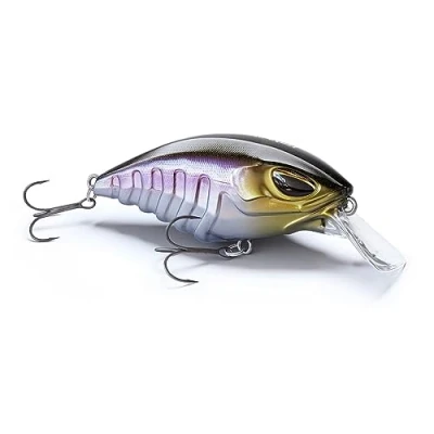Abbildung von Nays CRNK 65 SR 2,5&quot; S 06