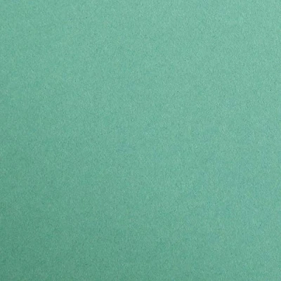 Abbildung von Clairefontaine 47951C Packung (mit 25 Bögen Zeichenpapier Maya, 70 x 100 cm, 270g, glatt, ideal für Trockentechnik und Einrahmen) dunkelgrün