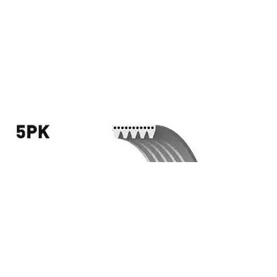 Abbildung von SNR CA5PK1435 Keilrippenriemen 1435 5 VOLKSWAGEN: Golf 4 Schrägheck, Passat B5 GP Variant, AUDI: A6 C5 Avant, A4 B6 Avant