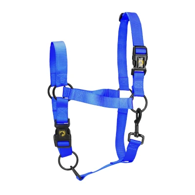Abbildung von Excellent Horse Essential Halfter S Blau