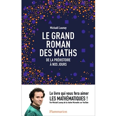 Abbildung von Le grand Roman des Maths: De la prehistoire a nos jours