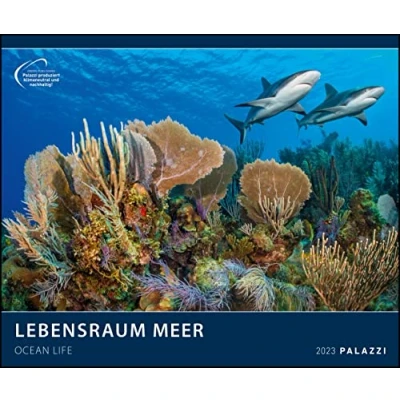 Abbildung von Lebensraum Meer 2023 Bild Kalender Poster 60x50: Ocean Life