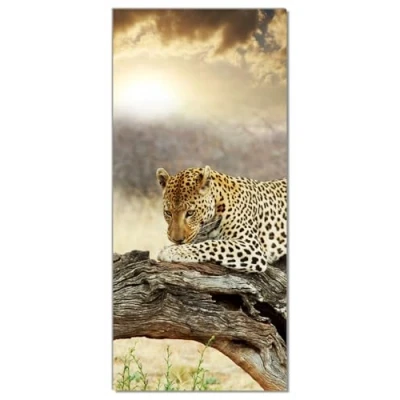 Abbildung von Wallario Selbstklebende Türtapete Leopard auf Baumstamm in Afrika Türposter 93 x 205 cm Abwischbar, rückstandsfrei zu entfernen
