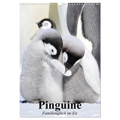 Abbildung von Pinguine. Familienglück im Eis (Wandkalender 2025 DIN A3 hoch), CALVENDO Monatskalender