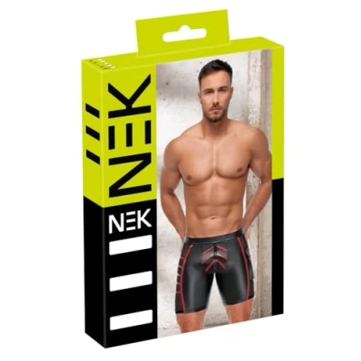 Abbildung von Shorts im 2 farbigen Mattlook mit Netzeinsätzen