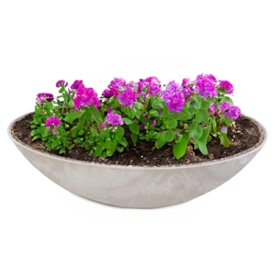 Abbildung von matches21 HOME &amp; HOBBY Große Pflanzschale für draussen in 45 cm beige Sand marmoriert als wetterfeste Blumenschale Dekoschale