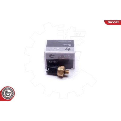 Abbildung von ESEN SKV 17SKV620 Sensor, Kraftstoffdruck BMW: 5 Limousine, 3 Touring, Limousine