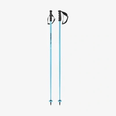 Abbildung von HEAD Unisex Adult Worldcup SL Skistöcke, Speed Blue/Schwarz/Weiß, 125