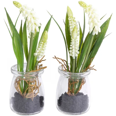 Abbildung von Kunstblume Muscariarrangement im Glas, Botanic Haus, Höhe 17 cm