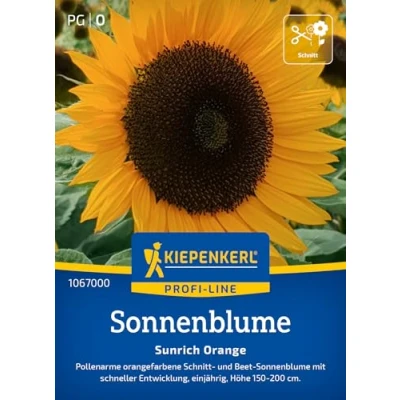 Abbildung von Kiepenkerl Profi Line Sonnenblumensamen Sunrich Orange 1067000 Pollenarme Sonnenblumen für Beete und Arrangements Blumensamen Mischung, Saatgut