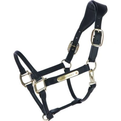 Abbildung von Kentucky Horsewear Halfter Anatomisches Leder Schwarz Cob