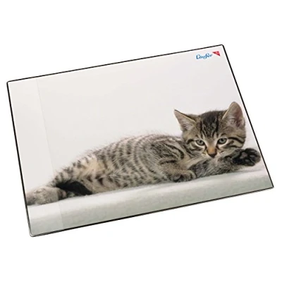 Abbildung von Läufer 46592 Schreibtischunterlage Katze grau, 53x40 cm, rutschfeste Schreibunterlage für Kinder, mit transparenter Seitentasche