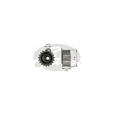 Abbildung von GATES FleetRunner Micro V Stretch Fit T42073 Spannrolle, Zahnriemen FORD: Escort 6 Schrägheck, Kombi