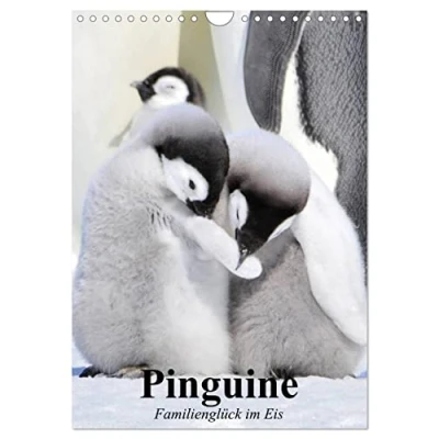 Abbildung von Pinguine. Familienglück im Eis (Wandkalender 2025 DIN A4 hoch), CALVENDO Monatskalender