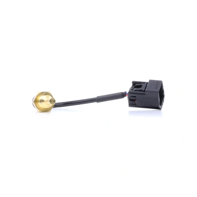 Abbildung von DELPHI TS10493 Kühlmitteltemperatursensor VOLVO: S40 I, V70 S60 I