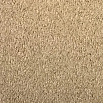 Abbildung von Clairefontaine 93866C Packung (mit 25 Bögen Zeichenpapier Etival Color, DIN A4, 21 x 29,7 cm, 160g, gekörnt, ideal für Trockentechnik und Einrahmen) kamelbraun