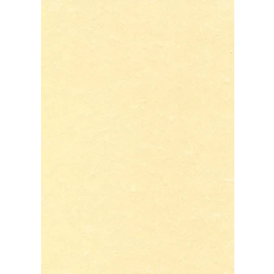 Abbildung von DECAdry Everyday Briefkopf Präsentationspapier Posterqualität (165 g/m², DIN A4), 50 Blatt champagnerfarben