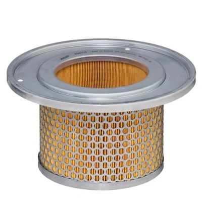 Abbildung von HENGST FILTER E645LS Sekundärluftfilter