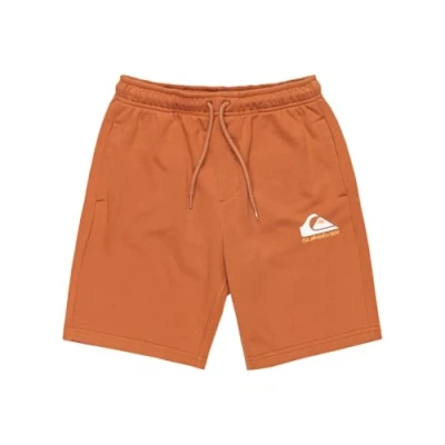 Abbildung von Quiksilver EASY Jogger Youth Jogginghose für Kinder, Größe: 164, Brown