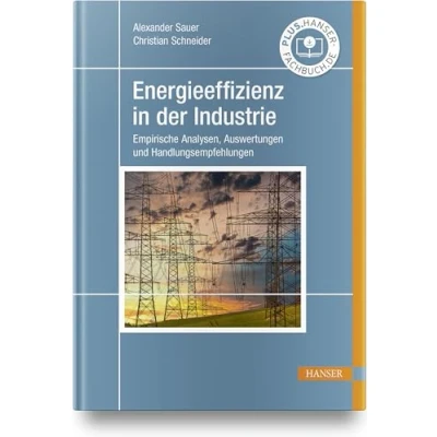 Abbildung von Energieeffizienz in der Industrie: Empirische Analysen, Auswertungen und Handlungsempfehlungen