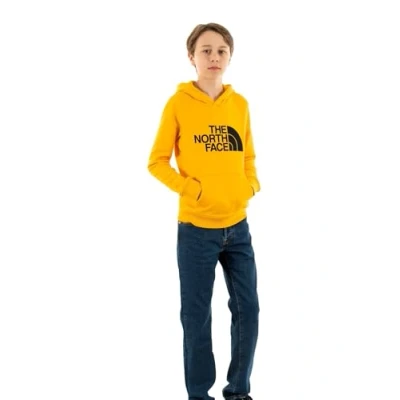 Abbildung von THE NORTH FACE Drew Peak Kapuzenpullover 56P 152