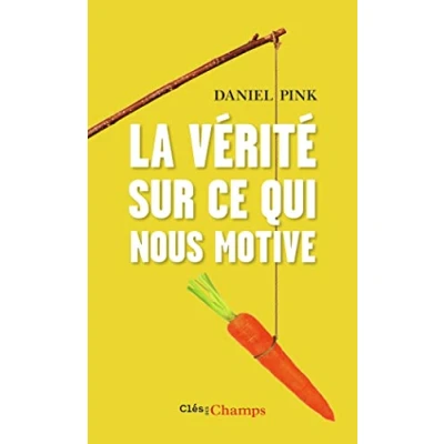 Abbildung von La vérité sur ce qui nous motive (Clés des Champs)