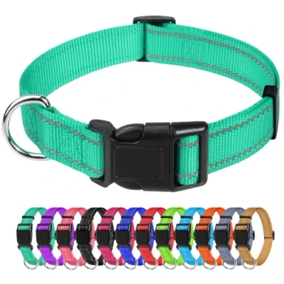 Abbildung von TagME Nylon Hundehalsband, Verstellbares Reflektierendes Hundehalsband mit Sicherheitsschnalle für Große Hunde, Türkis, 2.5cm Breite