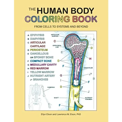 Abbildung von The Human Body Coloring Book: From Cells to Systems and Beyond (Coloring Concepts)