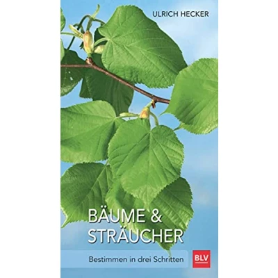 Abbildung von Bäume und Sträucher: Bestimmen in drei Schritten (BLV &amp; Pflanzen)