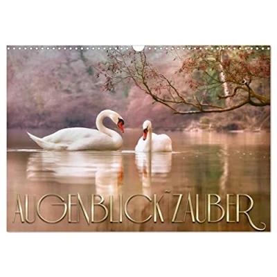 Abbildung von AUGENBLICK ZAUBER (Wandkalender 2025 DIN A3 quer), CALVENDO Monatskalender